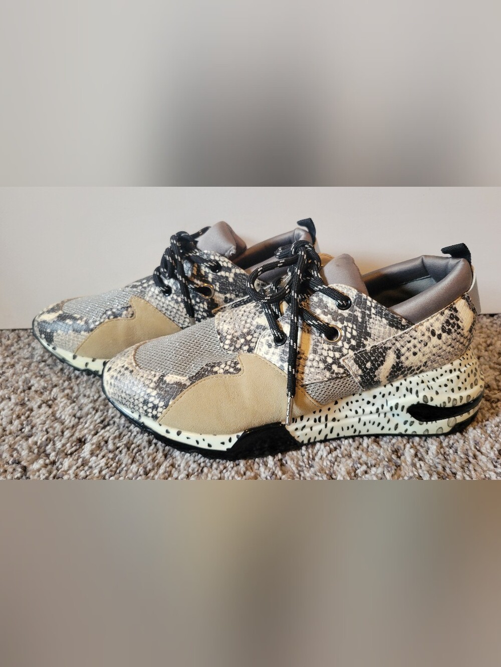 Steve Madden Snake-Print & Tan Fashion Sneakers